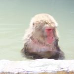 なぜ温泉にはにごり湯があるの？色つきのにごり湯ができる理由